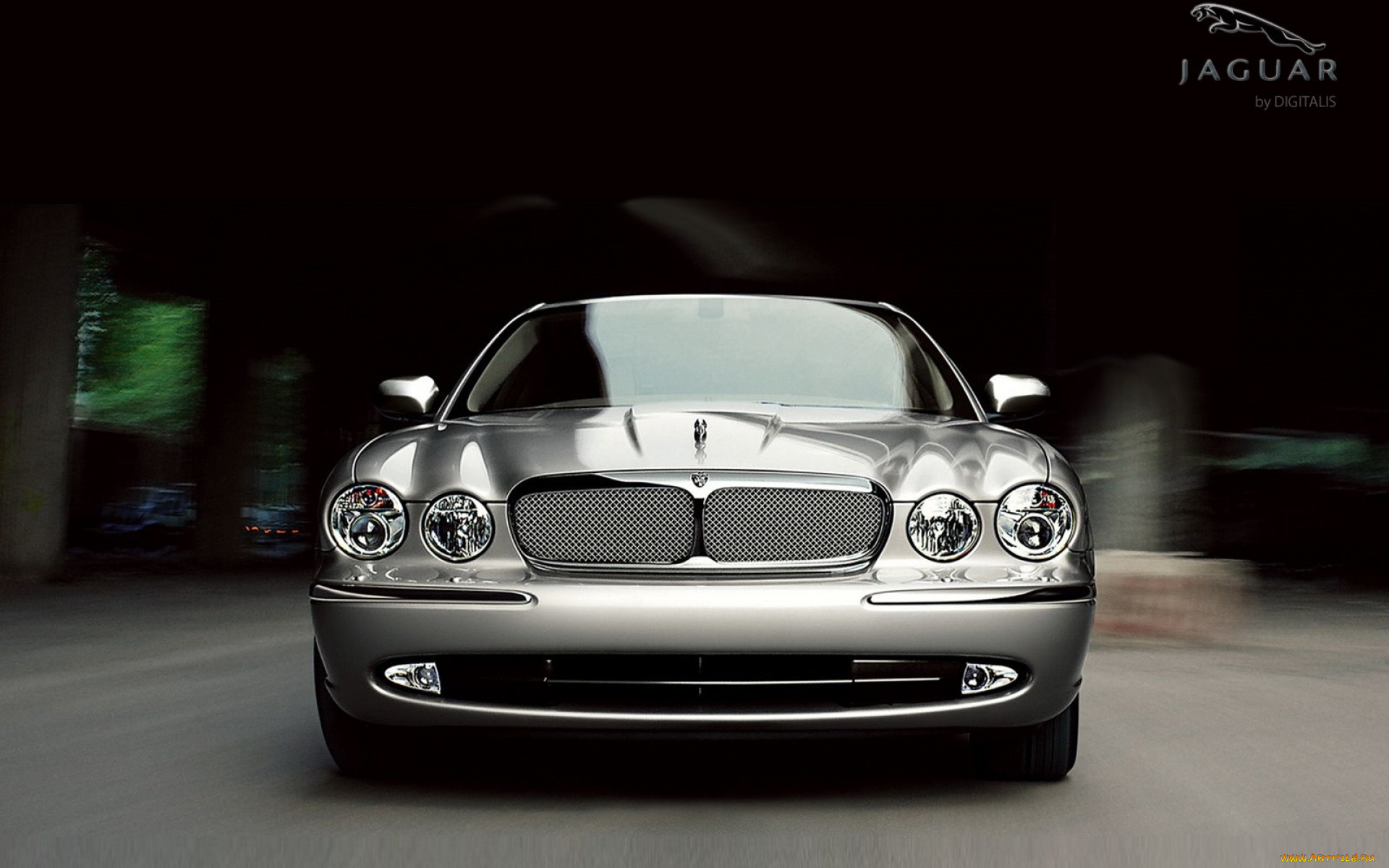 jaguar, 